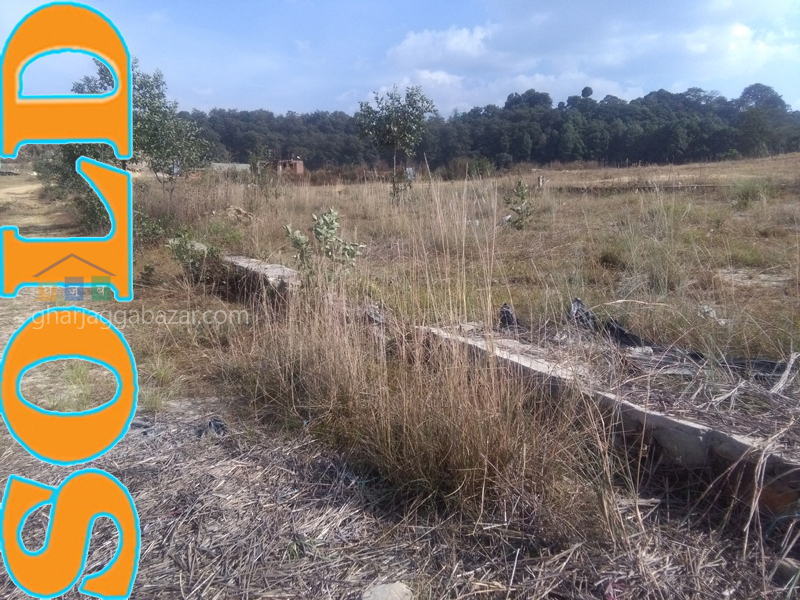 Land on Sale at Thecho