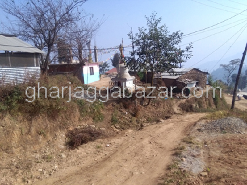 Land on Rent at Kakani