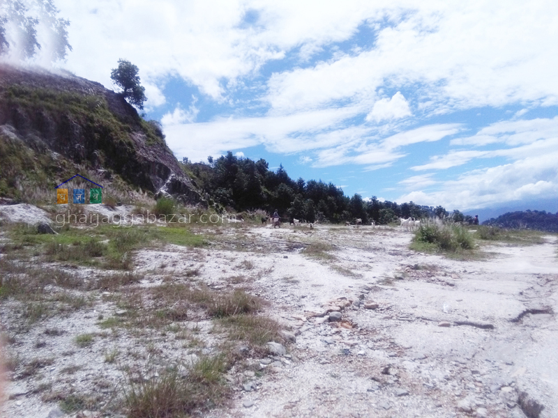 Land on Sale at Budhanilkantha