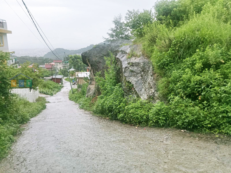 Land on Sale at Narayanthan Bisnumati