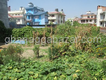Land on Sale at Jupitartol