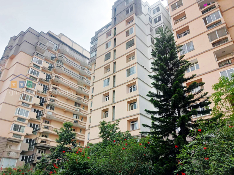 Apartment on Rent at Dhobighat Sunrise Tower