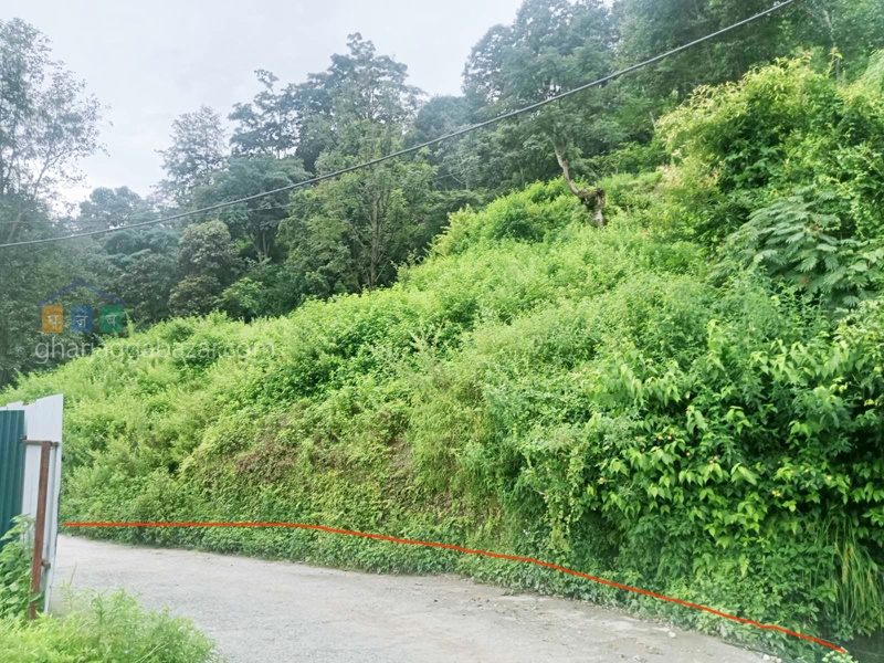 Land on Sale at Narayanthan Height