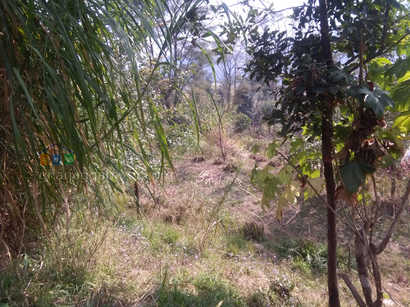 Farm House/Land on Sale at Kakani