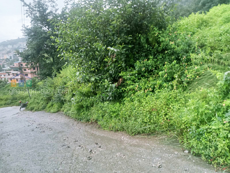 Land on Sale at Narayanthan Bisnumati