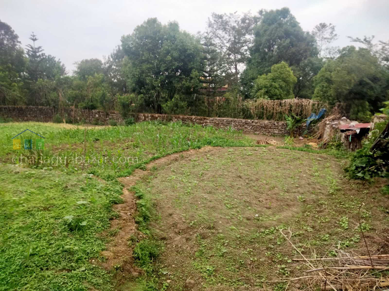 Land on Sale at Narayanthan Height