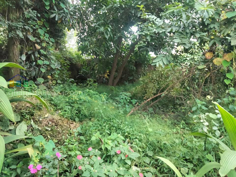 Land on Sale at Baluwatar