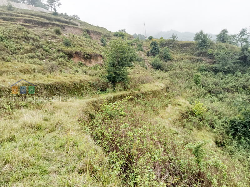 Land on Sale at Kattike Bhanjyang