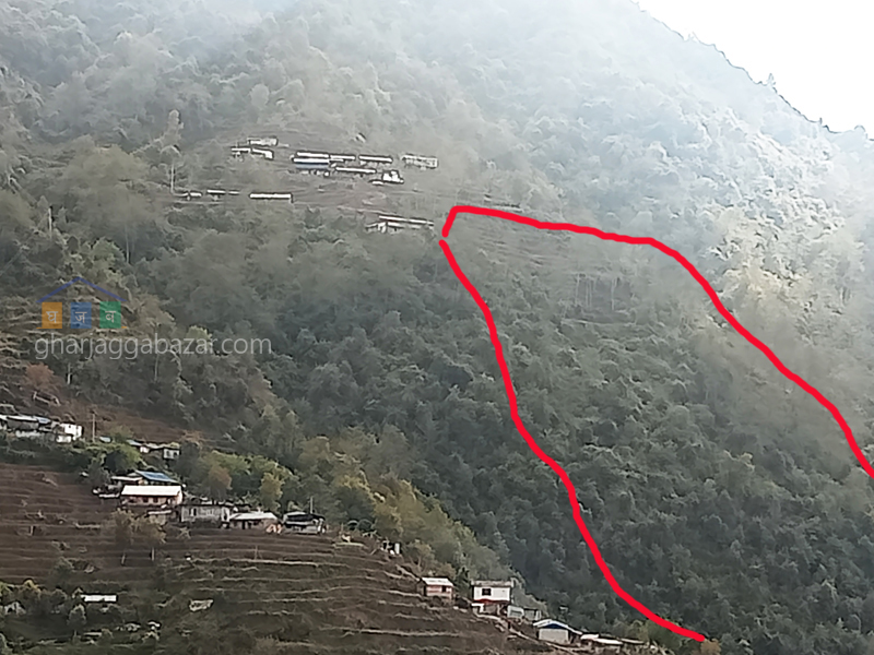 Land for Farming at Ranipauwa Kakani