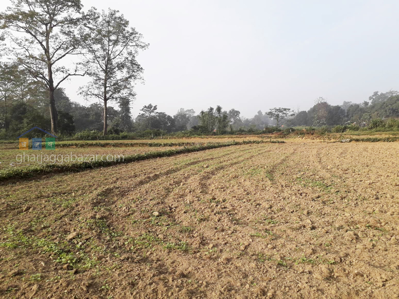 Land on Sale at Gaindakot