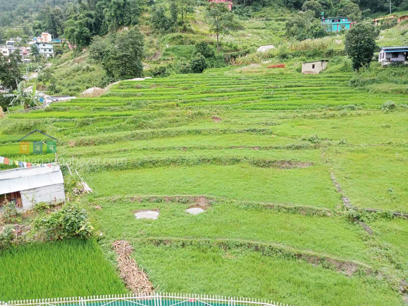 House on Sale at Narayanthan Wasik