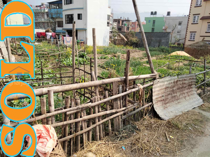 Land on Sale at Chapali Bhangal