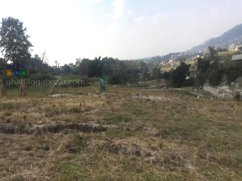 Land on Sale at Sudal