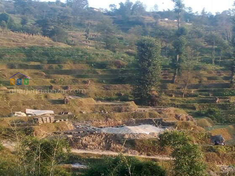 Land on Sale at Gagalphedi