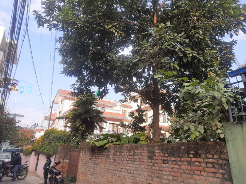 Land on Sale at Bhimsengola Old Baneshwor