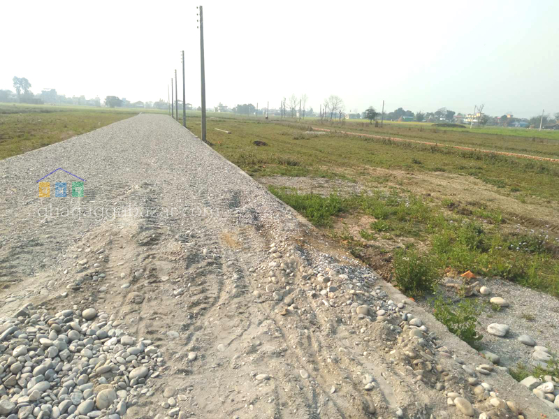Land for Plotting at Shiva Nagar
