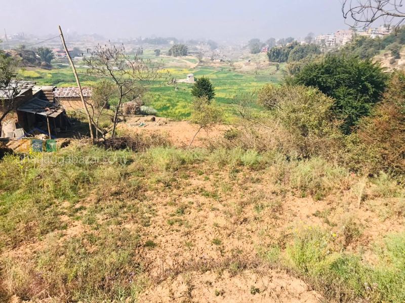 Land for Plotting at Sudal