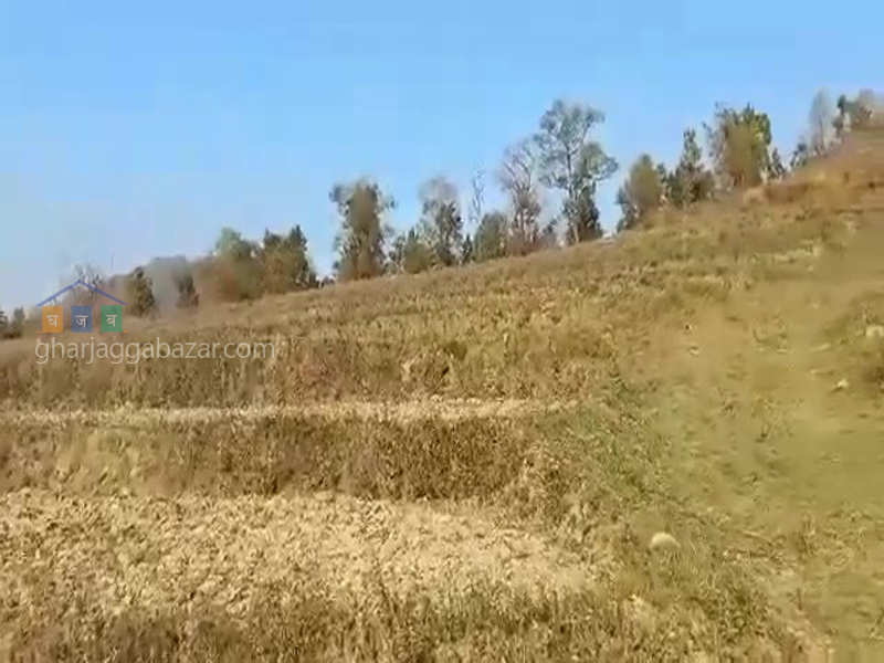 Land for Agriculture at Kawasoti
