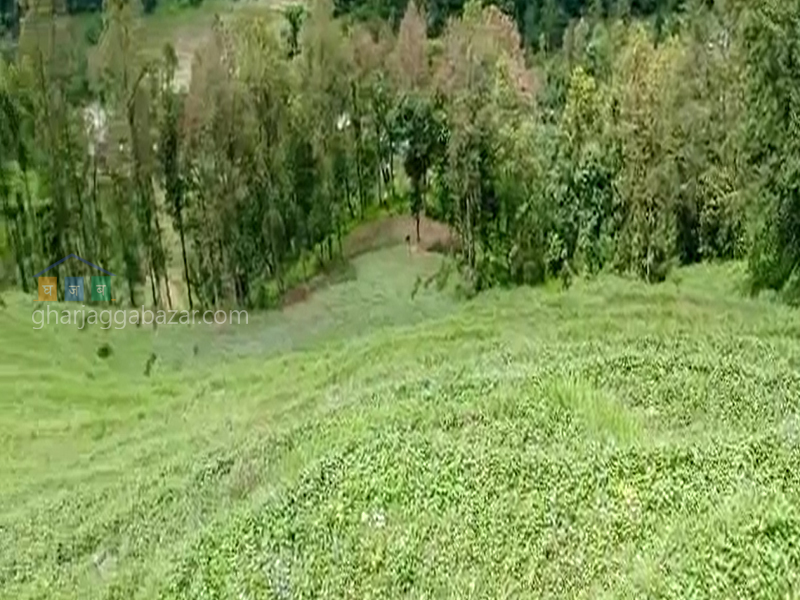 Land for Agriculture at Shivalaya Nuwakot
