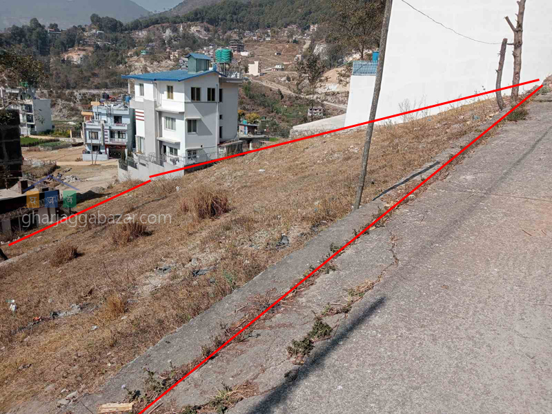 Land on Sale at Pasikot