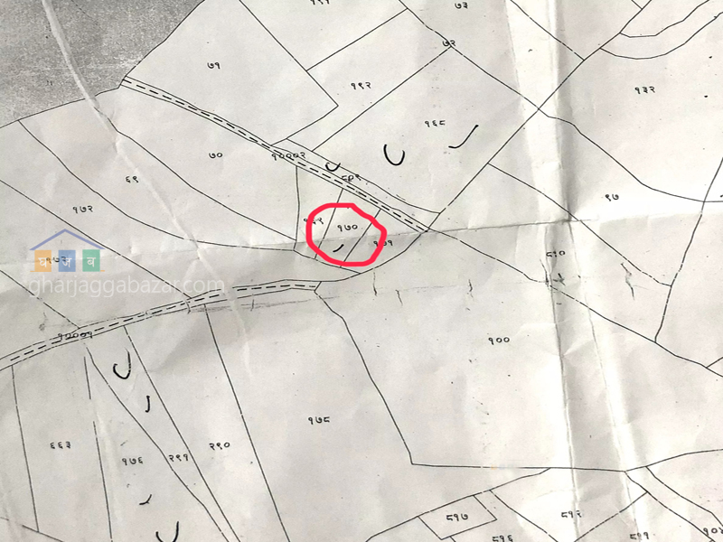 Urgent Land to Sell at Jarsing Pauwa