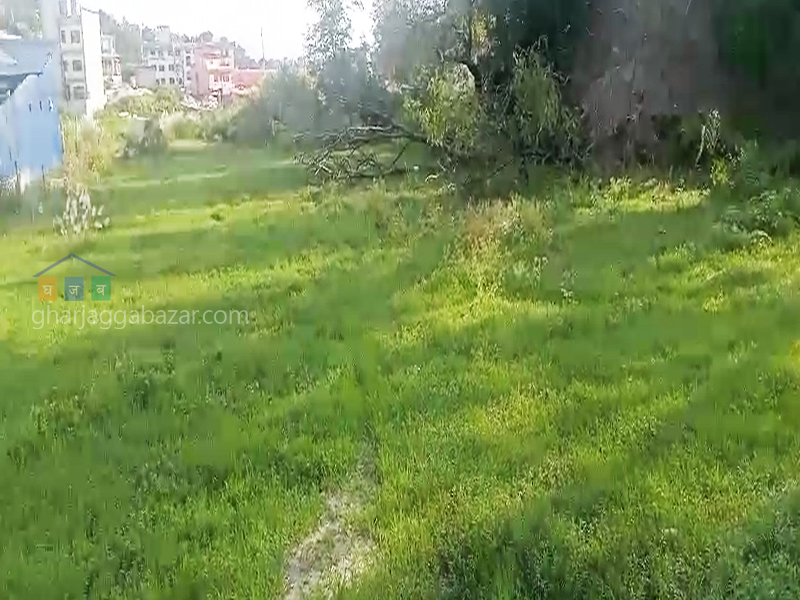 Land on Rent at Chapali Ghumti