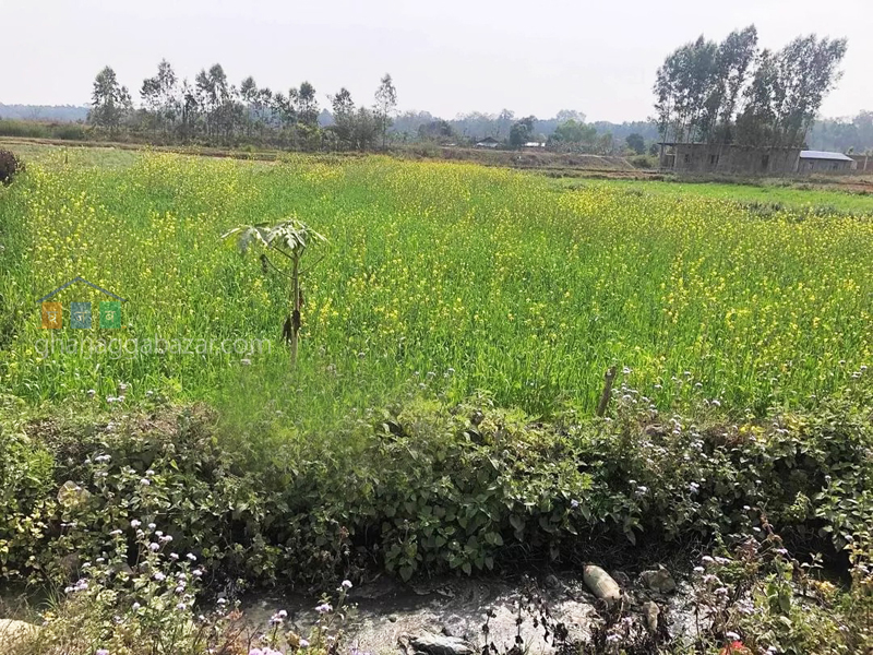 Land on Sale at Nepalgunj 