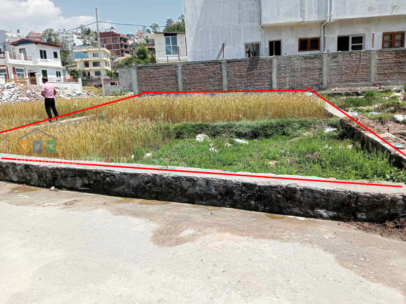 Land on Sale at Pasikot