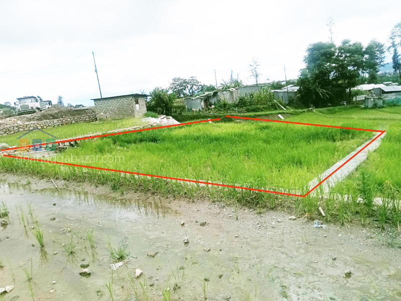 Land on Sale at Jhor 