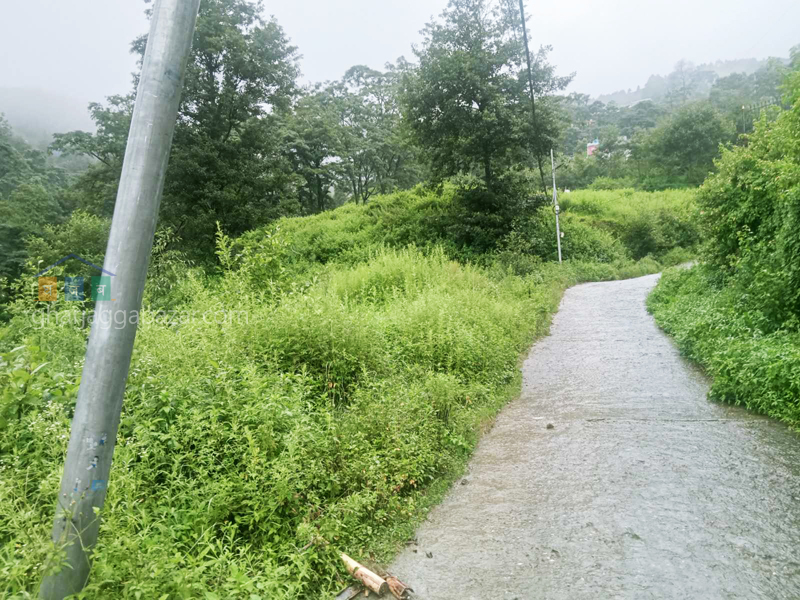 Land on Sale at Narayanthan Bisnumati