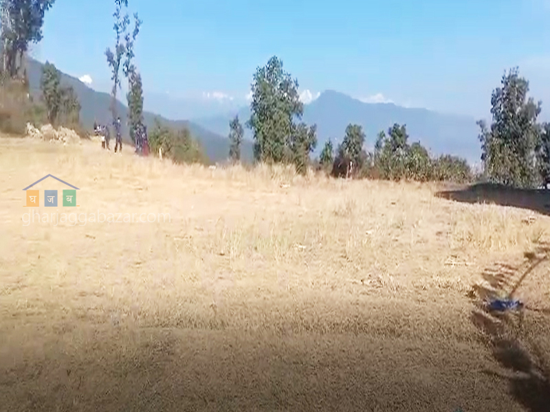 Land for Hotel Resort on Sale at Syuchatar Height