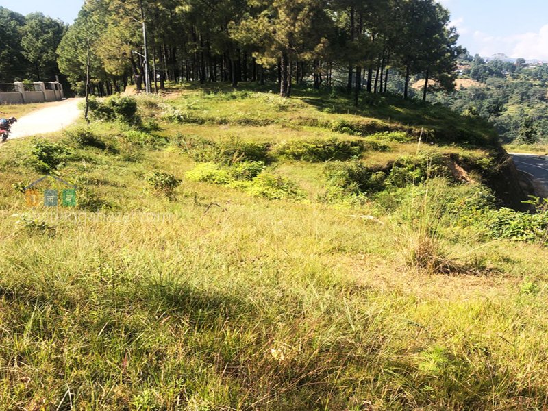 Land on Sale at Jarsing Pauwa