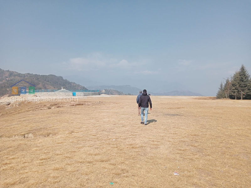 Land on Sale at Jarsing Pauwa