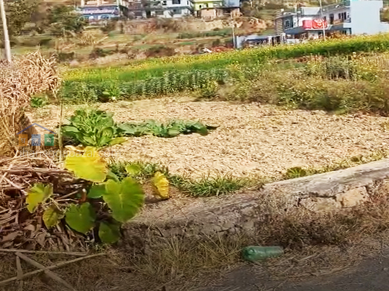 Planning Land on Sale at Sudal