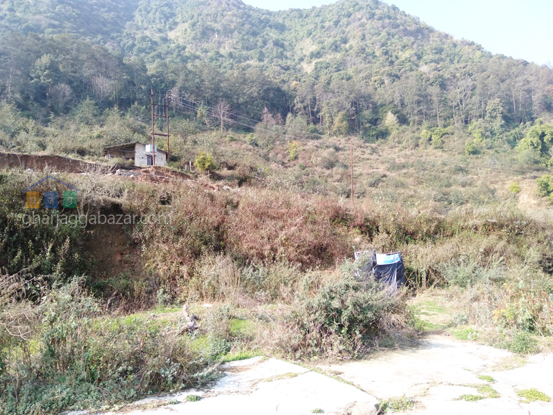 Land for Plotting at Kirtipur Machhegaun
