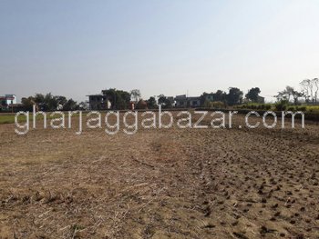 Urgent Land to Sell at Mohada