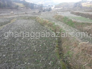 Land on Sale at Batase