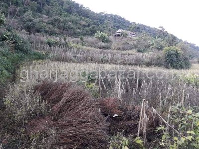 Land on Sale at Thingan