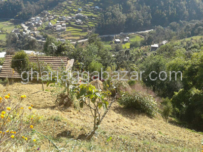 Land on Sale at Ryale Manedovan
