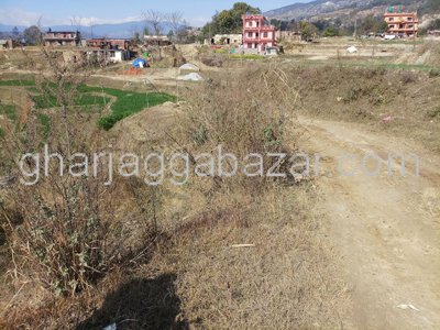 Land on Sale at Chitapol