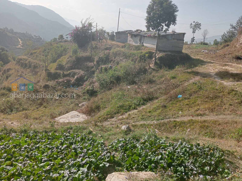 Land on Sale at Tinpiple
