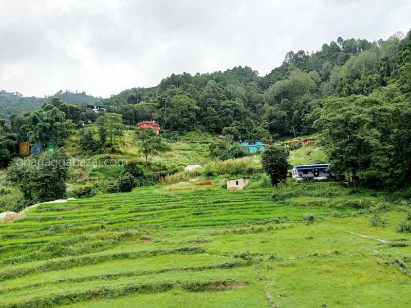 House on Sale at Narayanthan Wasik