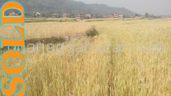 Land on Sale at Lubhu