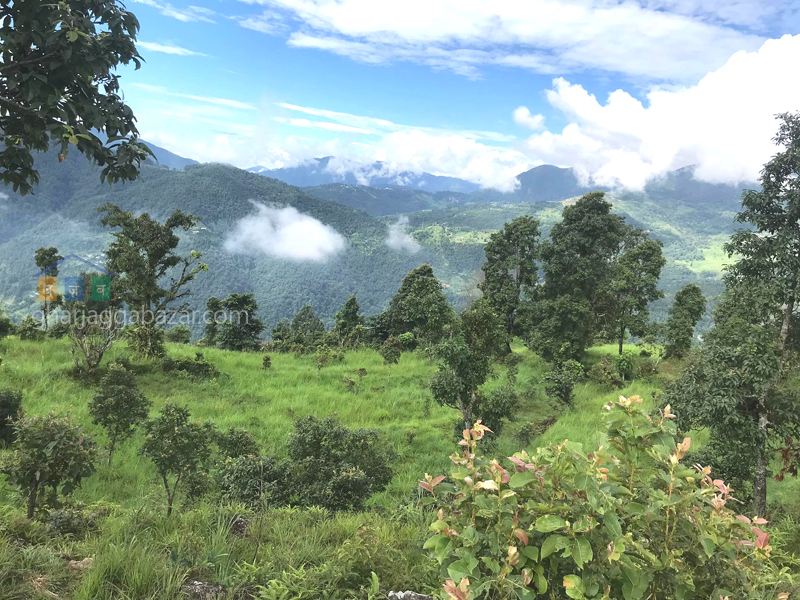 Land on Sale at Pumdi Bhumdi