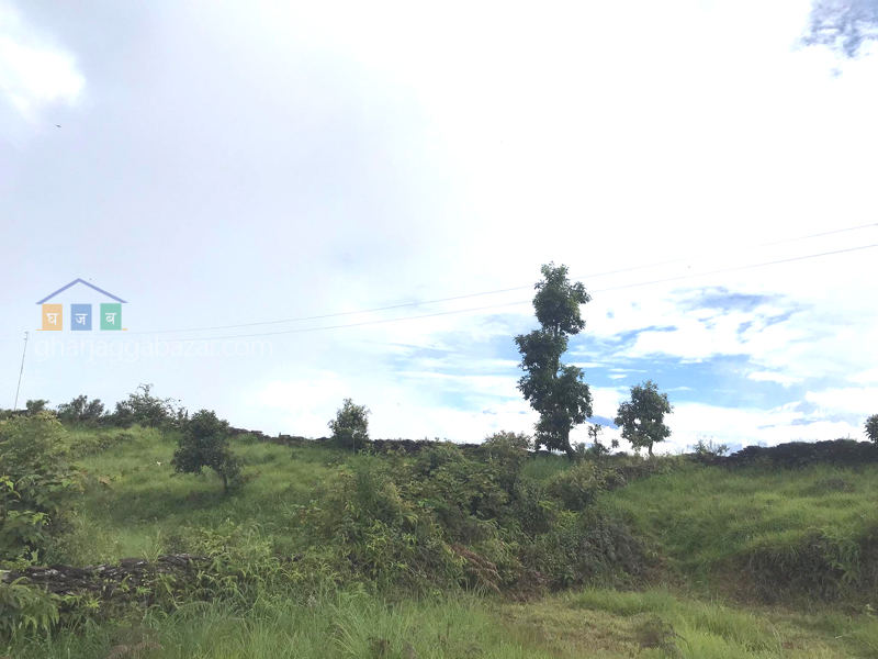 Land on Sale at Pumdi Bhumdi
