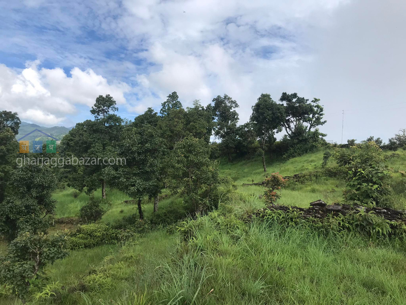 Land on Sale at Pumdi Bhumdi