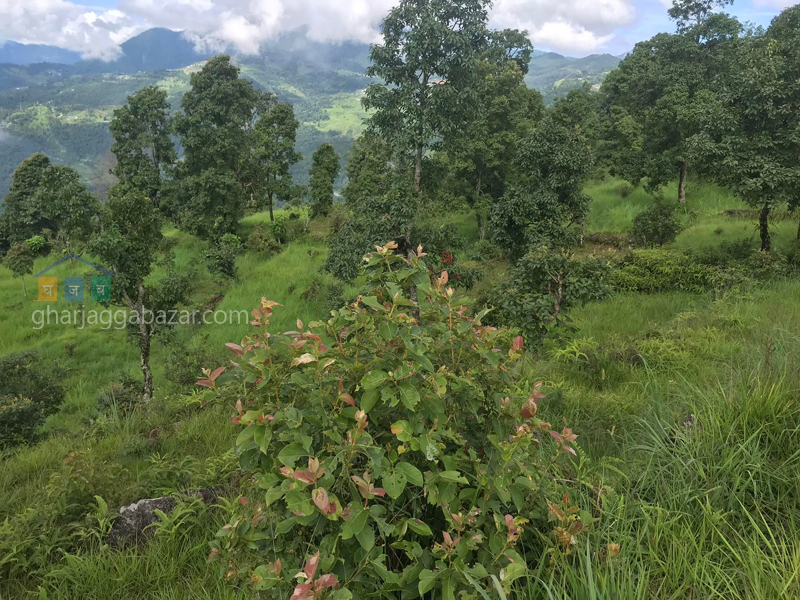 Land on Sale at Pumdi Bhumdi