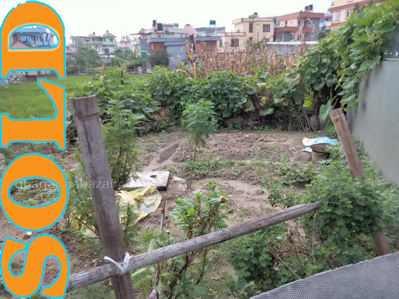 Land on Sale at Chapali Bhangal