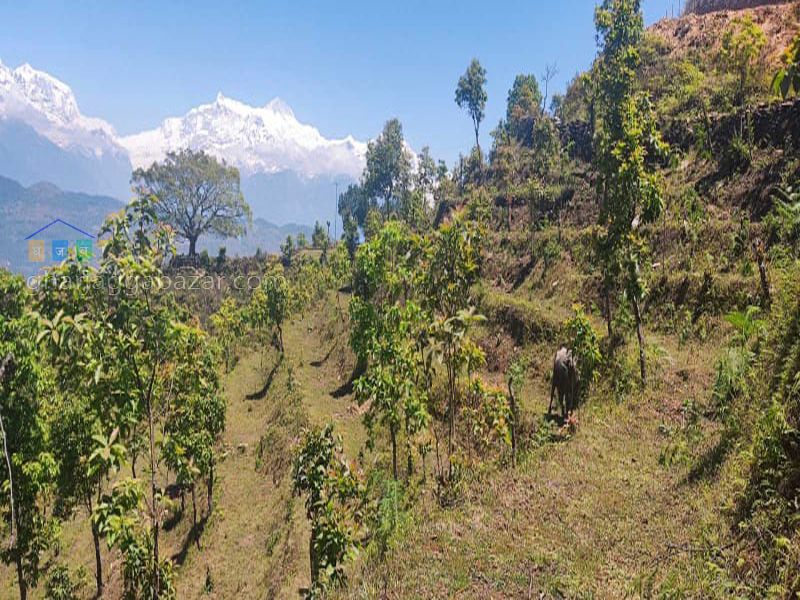 Land on Sale at Pumdi Bhumdi
