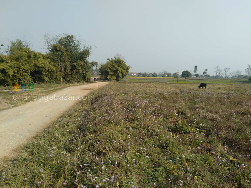 Land for Plotting at Shiva Nagar